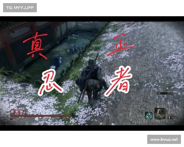 潜行忍者攻略 潜行忍者攻略